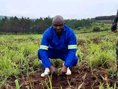 Ministers in Afforestation Drive