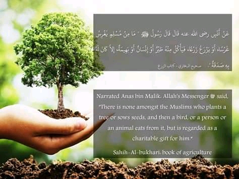 Muslim Students to Plant Trees