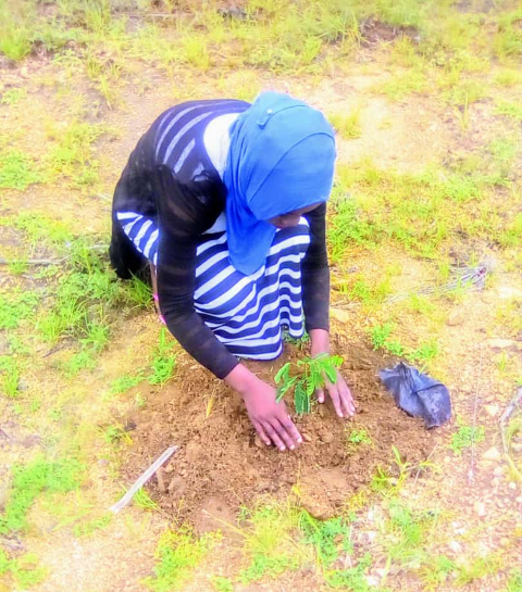 Maryam TTC dresses hill