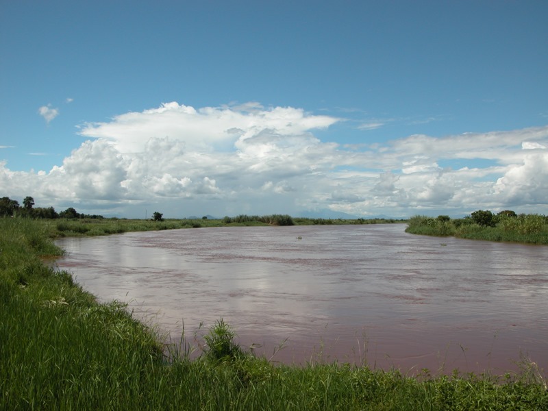 Crocodile Kills Man in Nkhotakota